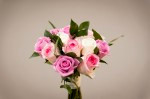 DSC 1582 150x99 Flower photography at Poppy floral design in Marple