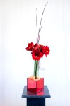 DSC 7735 Edit 2 99x150 Flower photography at Poppy floral design in Marple