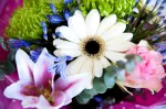 DSC 7801 150x99 Flower photography at Poppy floral design in Marple