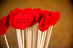 DSC 9835 150x99 Flower photography at Poppy floral design in Marple